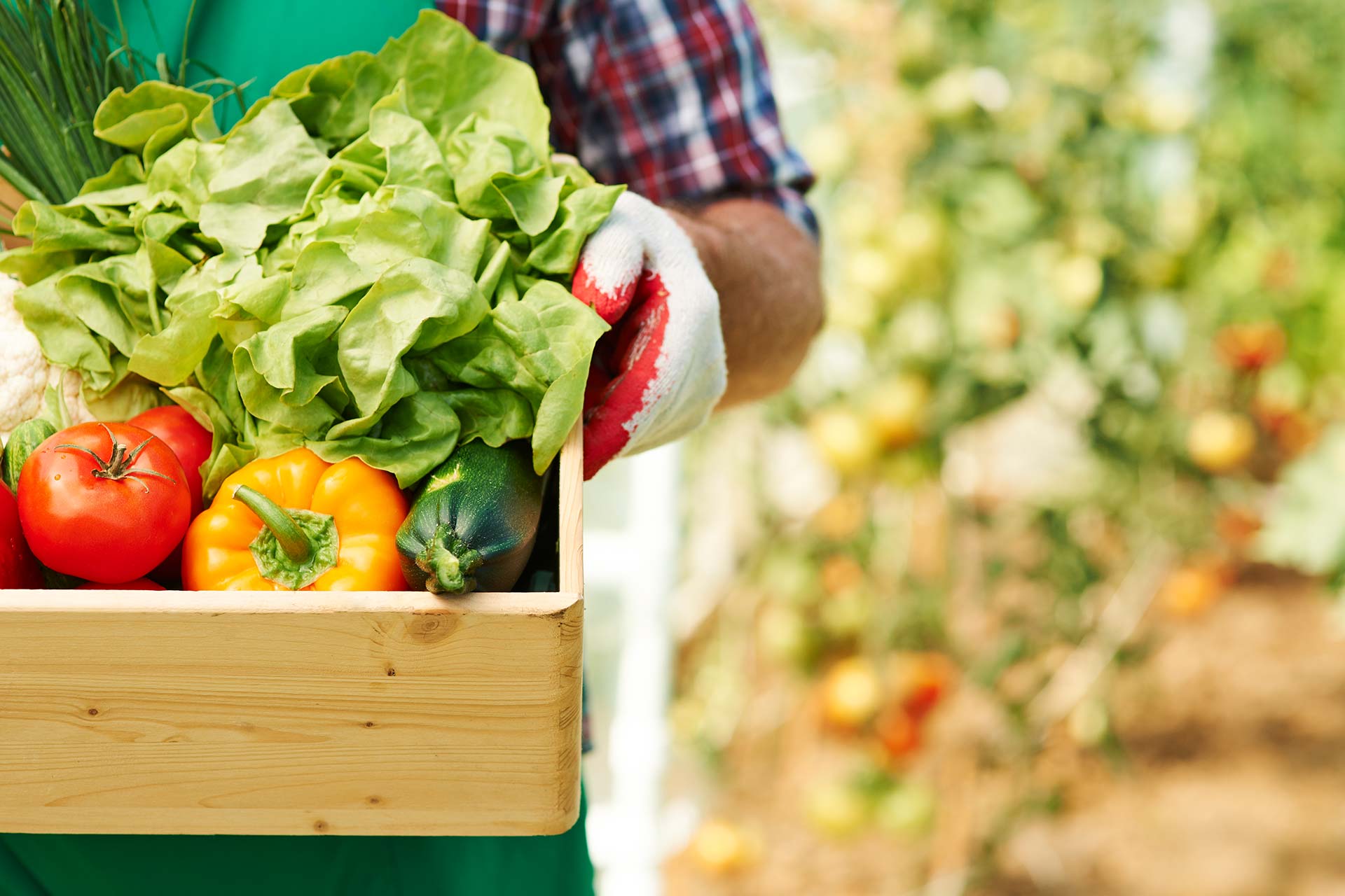 Your Eating Habits With This Organic Food